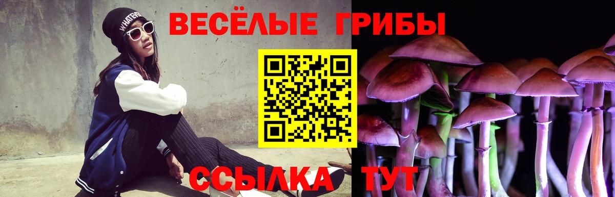 Псилоцибиновые грибы Cubensis Узловая